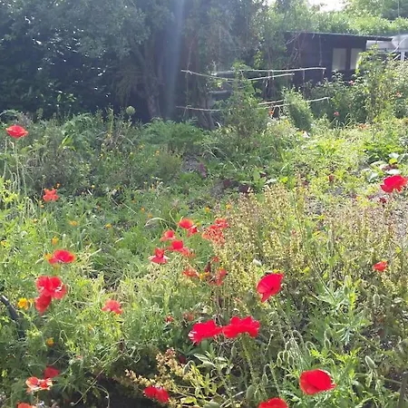 L'ermitage Au Sein D'un Jardin Foret Pres De L'ocean *