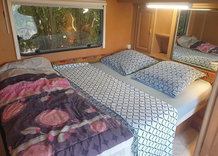 L'hermitage Au Sein D'un Jardin Foret Pres De L'ocean Kemping Mimizan-Plage