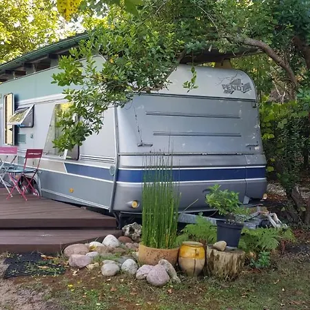 L'ermitage Au Sein D'un Jardin Forêt Près De L'océan *