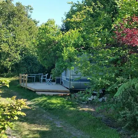 Camping L'ermitage Au Sein D'un Jardin Forêt Près De L'océan Mimizan