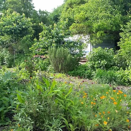 L'ermitage Au Sein D'un Jardin Forêt Près De L'océan * Mimizan