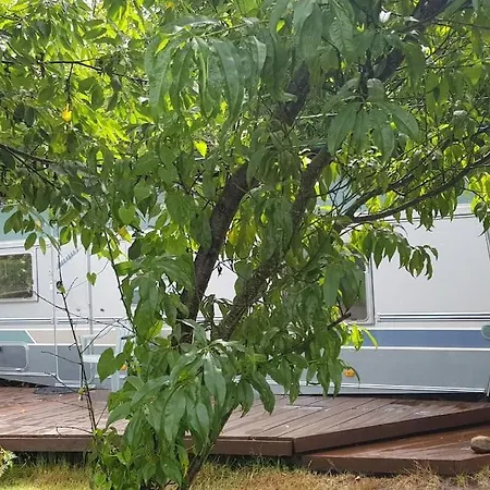 L'ermitage Au Sein D'un Jardin Foret Pres De L'ocean *