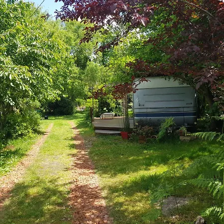Camping L'ermitage Au Sein D'un Jardin Forêt Près De L'océan Mimizan