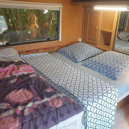 L'hermitage Au Sein D'un Jardin Foret Pres De L'ocean Kamp alanı Mimizan-Plage