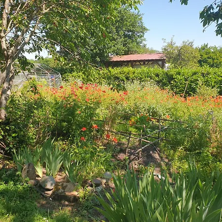 L'hermitage Au Sein D'un Jardin Foret Pres De L'ocean Kamp alanı