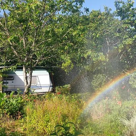 L'ermitage Au Sein D'un Jardin Forêt Près De L'océan *